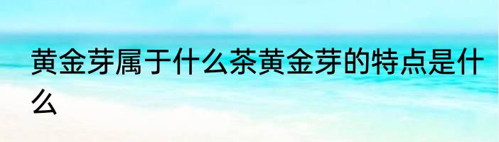 黄金芽属于什么茶黄金芽的特点是什么
