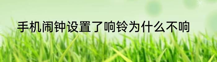 手机闹钟设置了响铃为什么不响