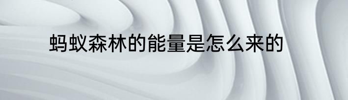 蚂蚁森林的能量是怎么来的