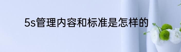 5s管理内容和标准是怎样的