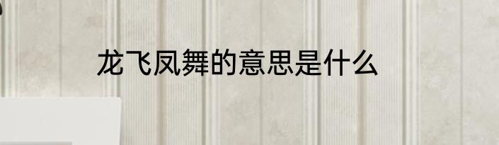 龙飞凤舞的意思是什么
