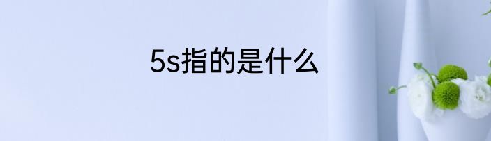 5s指的是什么