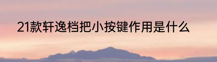 21款轩逸档把小按键作用是什么