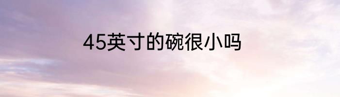 45英寸的碗很小吗