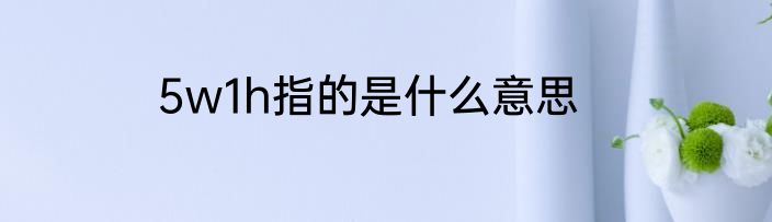 5w1h指的是什么意思