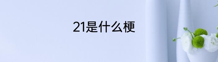 21是什么梗