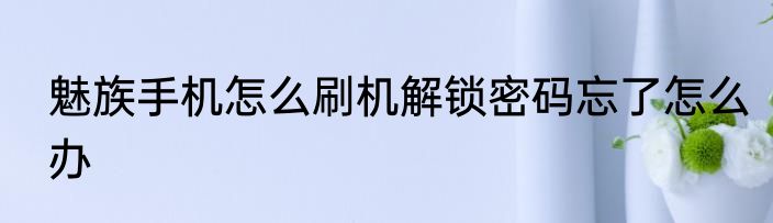 魅族手机怎么刷机解锁密码忘了怎么办