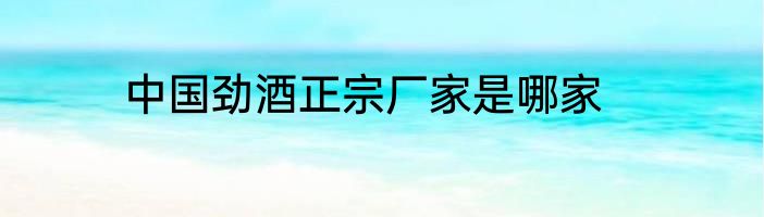 中国劲酒正宗厂家是哪家