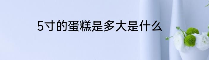 5寸的蛋糕是多大是什么