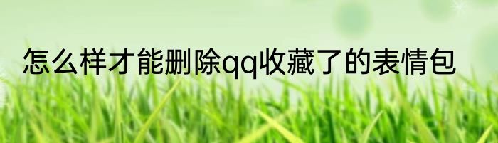 怎么样才能删除qq收藏了的表情包