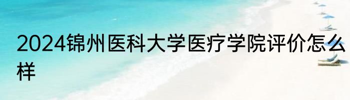 2024锦州医科大学医疗学院评价怎么样