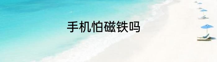 手机怕磁铁吗