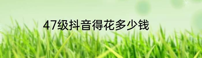 47级抖音得花多少钱