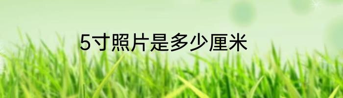 5寸照片是多少厘米