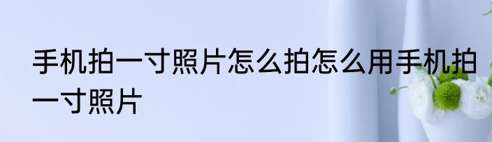 手机拍一寸照片怎么拍怎么用手机拍一寸照片