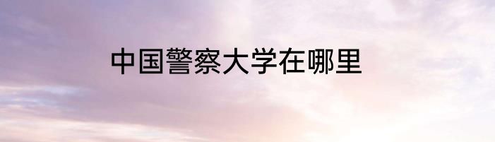 中国警察大学在哪里