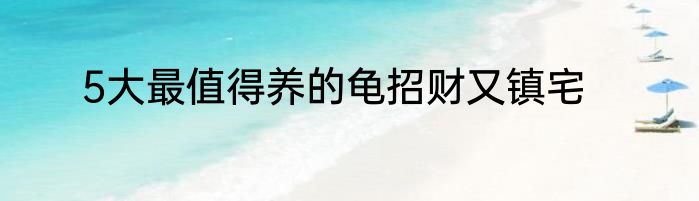 5大最值得养的龟招财又镇宅
