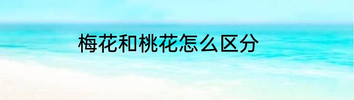 梅花和桃花怎么区分