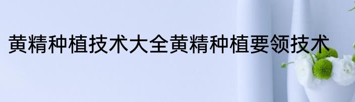 黄精种植技术大全黄精种植要领技术