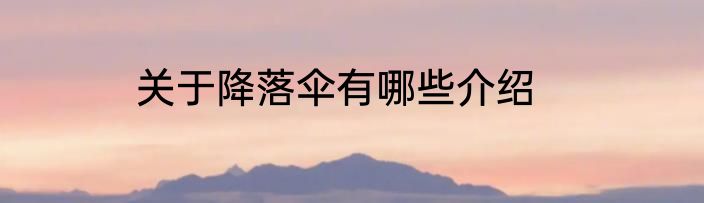 关于降落伞有哪些介绍