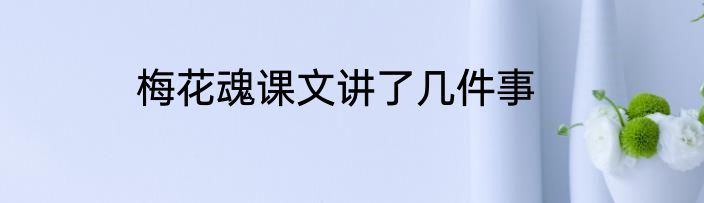 梅花魂课文讲了几件事