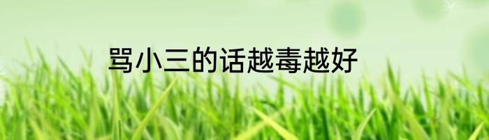 骂小三的话越毒越好
