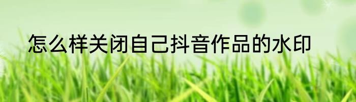 怎么样关闭自己抖音作品的水印