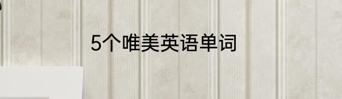 5个唯美英语单词