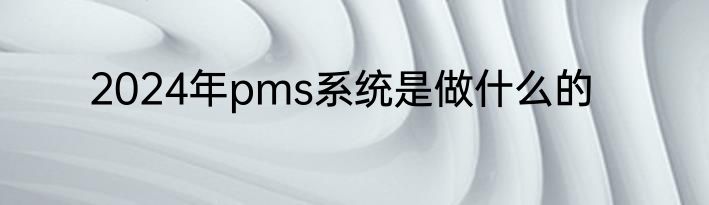 2024年pms系统是做什么的