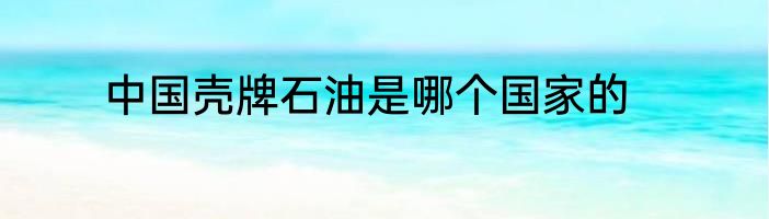 中国壳牌石油是哪个国家的
