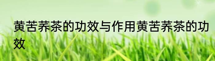 黄苦荞茶的功效与作用黄苦荞茶的功效