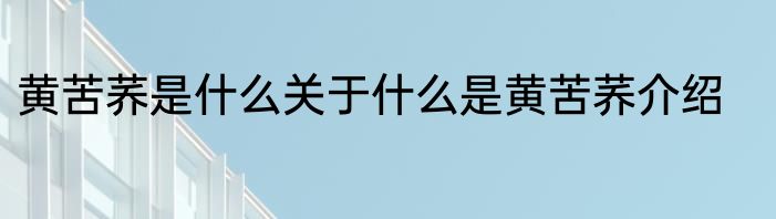 黄苦荞是什么关于什么是黄苦荞介绍