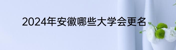 2024年安徽哪些大学会更名