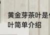 黄金芽茶叶是什么山产地方黄金芽茶叶简单介绍