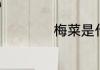 梅菜是什么菜晒干的