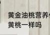 黄金油桃营养价值及功效黄金油桃和黄桃一样吗