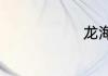 龙海是哪里的