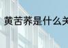 黄苦荞是什么关于什么是黄苦荞介绍