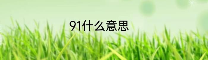 91什么意思