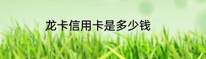 龙卡信用卡是多少钱