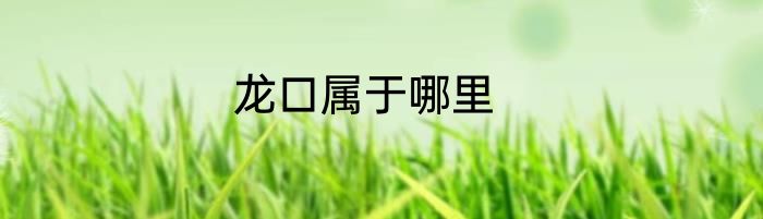 龙口属于哪里