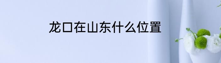 龙口在山东什么位置