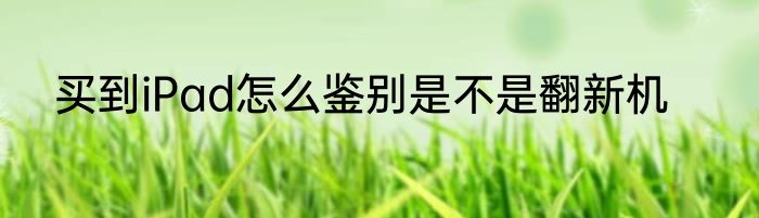 买到iPad怎么鉴别是不是翻新机