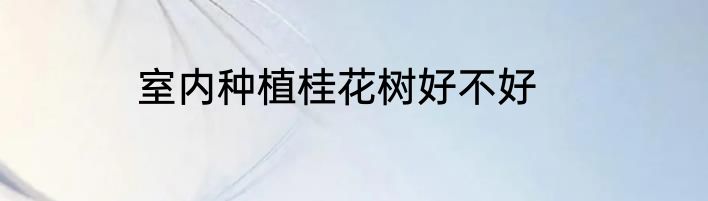 室内种植桂花树好不好