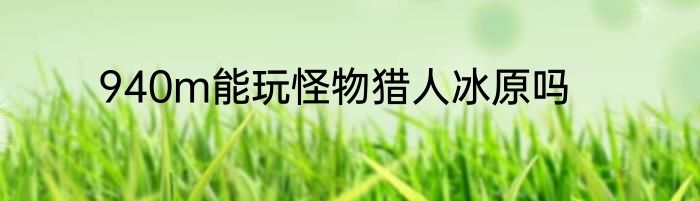940m能玩怪物猎人冰原吗