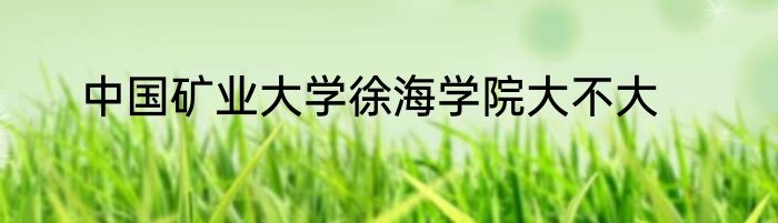 中国矿业大学徐海学院大不大