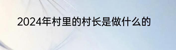 2024年村里的村长是做什么的