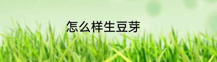 怎么样生豆芽
