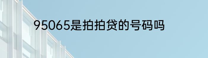95065是拍拍贷的号码吗