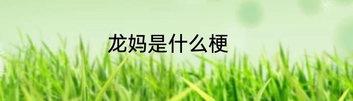 龙妈是什么梗